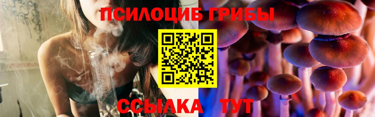 Псилоцибиновые грибы Magic Shrooms  Вход с VPN  Сорочинск  Псилоцибиновые грибы Psilocybe 
